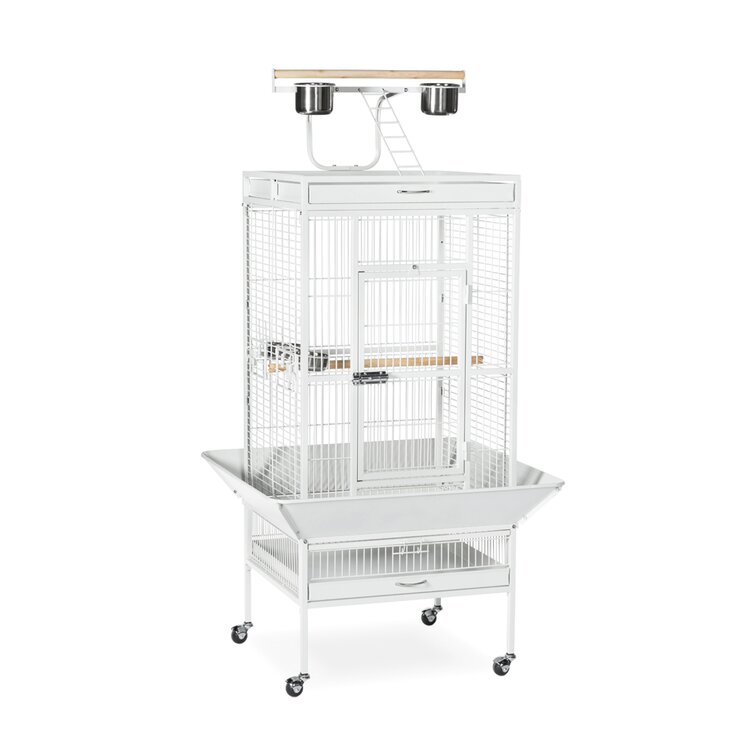 Prevue pet travel 2024 bird cage white